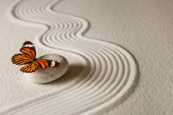 禅の蝶。砂の背景にロック、蝶 — ストック写真
