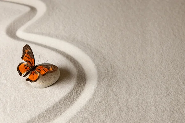 Zen butterfly. Sand background with rock and butterfly — Stock Photo, Image