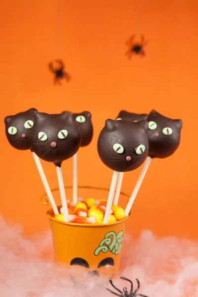 Cat cake pops — Stock Photo, Image