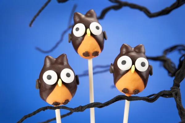 Owl cake pops — Stock Photo, Image