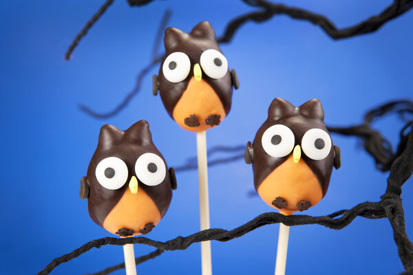 Owl cake pops
