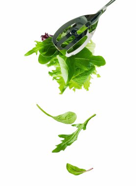 salata yaprakları