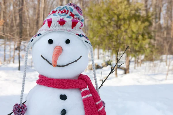 Snögubbe — Stockfoto