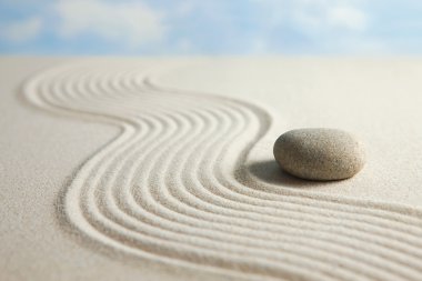 Zen Bahçesi