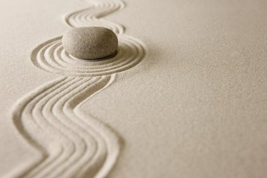Zen Bahçesi