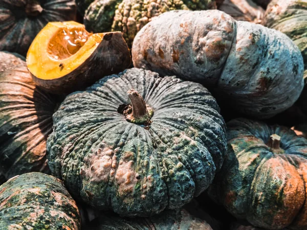 Kürbis Hintergrund Den Regalen Supermarkt — Stockfoto