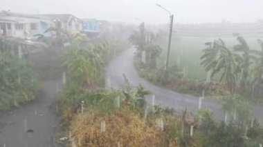 Şiddetli bir yağmur fırtınası tarlalardan aşağı yağıyor.