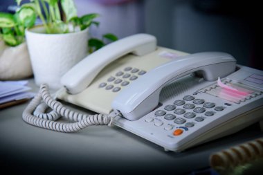 Çalışma masasının üzerinde küçük bir saksı ve defter olan bir telefon.