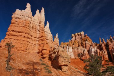 Bryce Canyon NP 'deki kırmızı kumtaşı kuleleri, Utah eyaleti, ABD' nin batı ulusal parkları üzerinden yol gezisi, doğal harikalar.