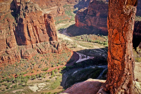 Tolle Aussicht Vom 400 Meter Hohen Angel Landing Trail Zion — Stockfoto