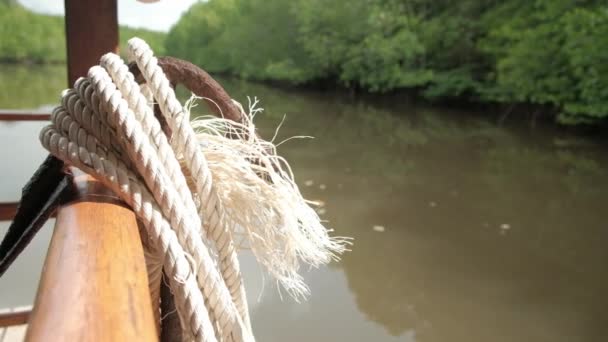 タイのマングローブ林のエコツアーで使用される竹筏のアンカーとロープ 黄色の川 緑の木などの美しい屋外熱帯環境 — ストック動画