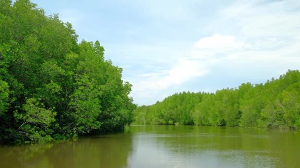Ecossistema Viagem Por Rafting Bambu Tradicional Através Exuberante Manguezais Cênicos — Vídeo de Stock