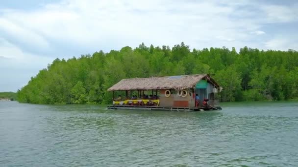 Reis Ecosysteem Door Traditionele Bamboe Rafting Door Weelderige Mangroven Schilderachtig — Stockvideo