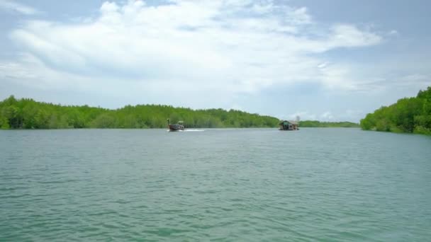 Tayland Sarı Nehir Yollarından Birinde Yemyeşil Mangrovlar Arasında Geleneksel Bambu — Stok video