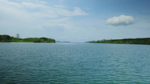 タイの青い川の水路の一つで緑豊かなマングローブの景色を通して伝統的な竹ラフティングで旅行生態系 運河や森の熱帯環境でのアウトドアアドベンチャーです — ストック動画