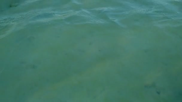 Морская Волна Колеблется Текстуре Рисунка Отражая Солнечный Свет Видя Спокойное — стоковое видео