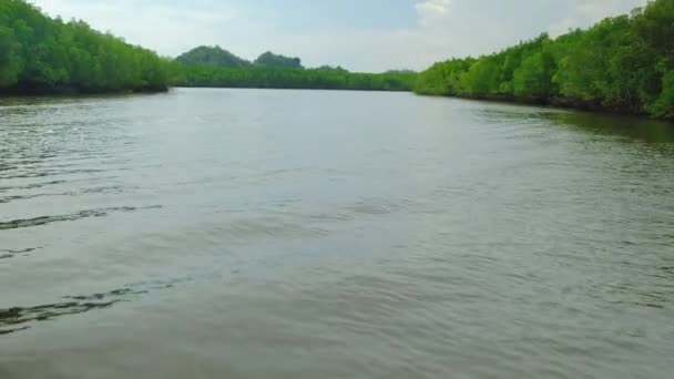 Reis Ecosysteem Door Traditionele Bamboe Rafting Door Weelderige Mangroven Schilderachtig — Stockvideo