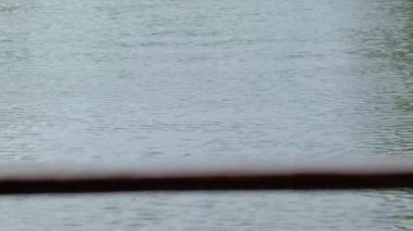 Rafting ile seyahat etmek bir nehirde ilerler, dalgalı su dalgaları ve ön planda ahşap korkuluklar olan güzel sakin bir arka plan manzarası. Sakin yelken, açık arazide kimse yok..