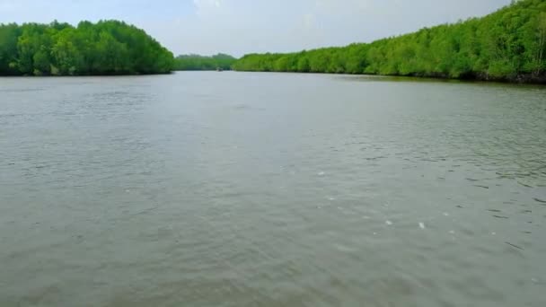 Reis Ecosysteem Door Traditionele Bamboe Rafting Door Weelderige Mangroven Schilderachtig — Stockvideo