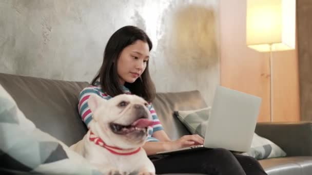 Haustierliebhaberin Freiberufliche Asiatin Die Von Hause Aus Mit Einem Laptop — Stockvideo