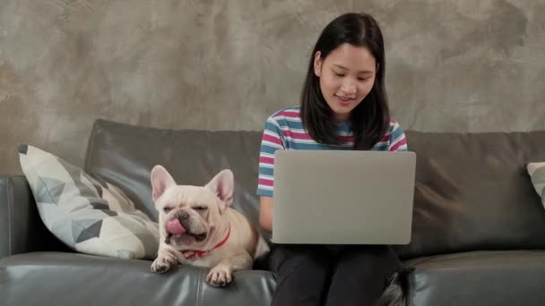 Amante Las Mascotas Informal Freelance Mujer Linda Asiática Que Trabaja — Vídeo de stock