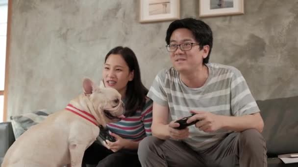 一对亚洲夫妇正在玩电子游戏 兴奋地在家里的沙发上玩乐 控制着比赛的操纵杆 附近还有宠物狗 法国斗牛犬 这是家庭生活中的快乐 — 图库视频影像