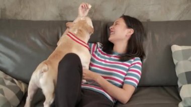 Güzel, sevimli, sıradan bir Asyalı kadın, oturma odasındaki gri kanepede mutlu bir şekilde oynayıp, takılıyor ve sevimli köpeğe (Fransız Bulldog) sarılıyor. Evcil hayvan onun ailesi ve yaşam tarzı..