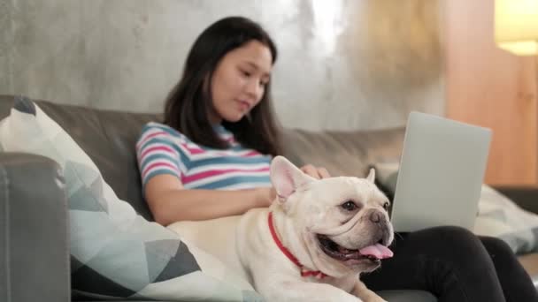 Háziállat-szerető, alkalmi szabadúszó ázsiai aranyos nő dolgozik otthonról segítségével laptop számítógép vezeték nélküli interneten keresztül az online üzleti egy imádnivaló kutya (French Bulldog) ül mellette boldogan.