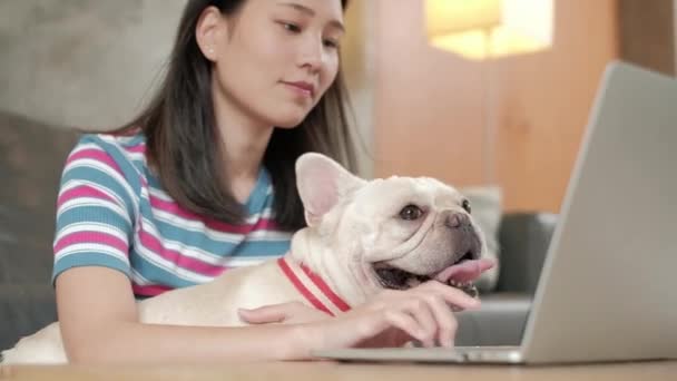 Háziállat Szerető Alkalmi Szabadúszó Ázsiai Aranyos Dolgozik Otthonról Segítségével Laptop — Stock videók