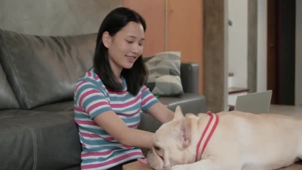 Amante Las Mascotas Informal Freelance Mujer Linda Asiática Que Trabaja — Vídeo de stock