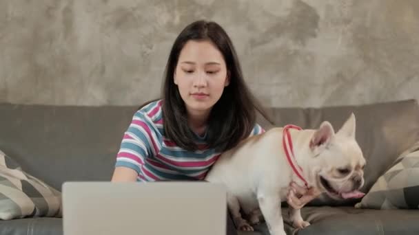 Pet Lover Ležérní Volné Noze Asijské Roztomilá Žena Pracující Domova — Stock video