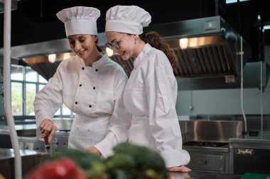 Önlüklü iki beyaz kadın aşçı birlikte yemek pişiriyor. Lezzetli yemeklerde profesyonel gurme partnerler, otel yemeklerinde malzeme hazırlığı ve aşçılık yemekleri..