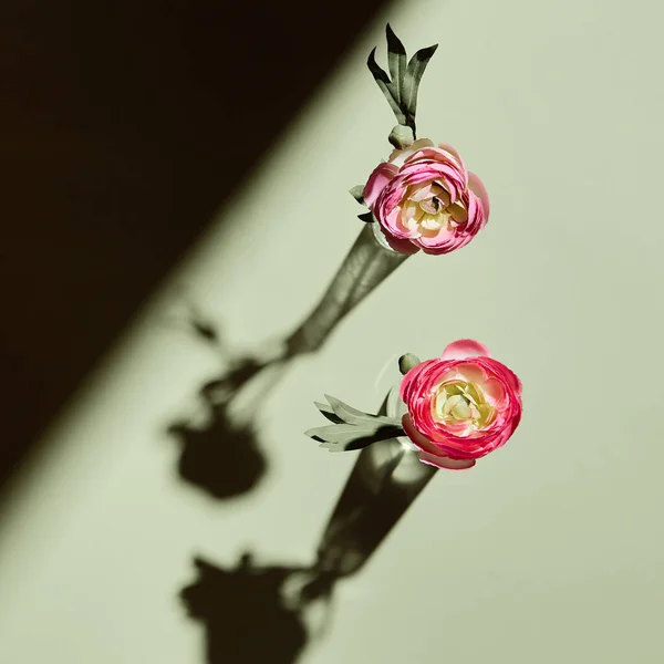 Layout Floral Primavera Vista Superior Flor Rosa Vermelha Fundo Verde — Fotografia de Stock