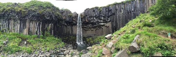 Foto Von Svartifoss Südisland Einem Regnerischen Morgen — Stockfoto