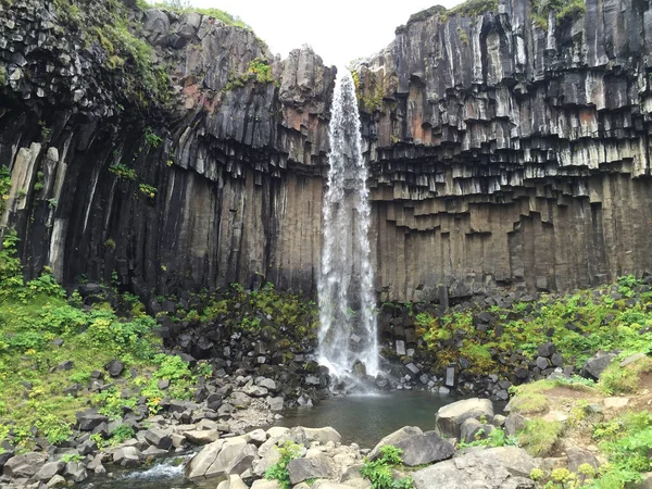 Zdjęcie Svartifoss Południowej Islandii Deszczowy Poranek — Zdjęcie stockowe