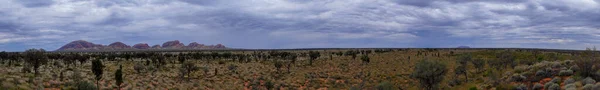 Panorama Die Kata Tjuta Australischen Outback Mit Dramatischem Himmel — Stockfoto