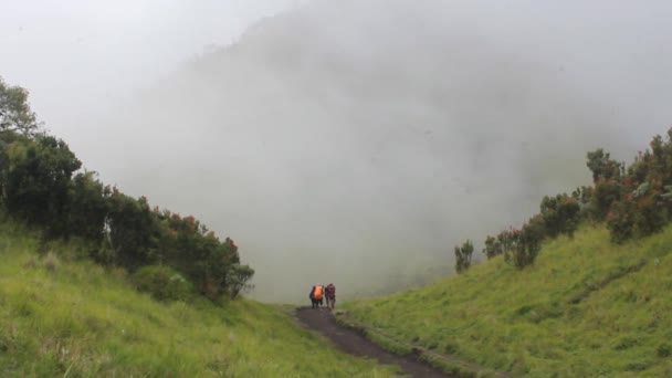 Vista Sabana Espesa Niebla Las Montañas — Vídeos de Stock