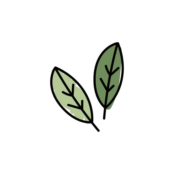 Ilustração Vetorial Folhas Com Contorno Símbolo Logotipo Folha Desenhado Mão —  Vetores de Stock