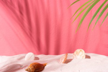Pembe duvarlı yaz arkaplanı, deniz kabuğu ve kum