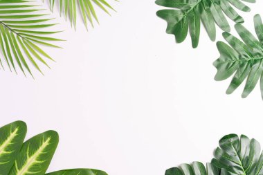 Tropikal yapraklar birbirlerini çerçeveler, yaz arkaplanı arasında boşluk bırakırlar