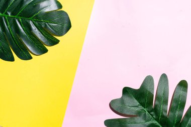 Sarı ve pembe arka planda yaprağı olan yaz arkaplanı