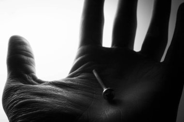 Beyaz arkaplanda el ele vida