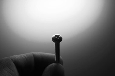 Beyaz arkaplanda el ele vida