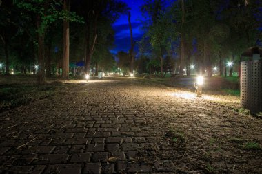 Gece ya da gece sokakta fenerler parktaydı.