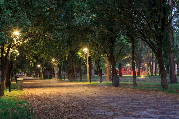 Lanterns Park Alley Night Night — Stock Photo, Image