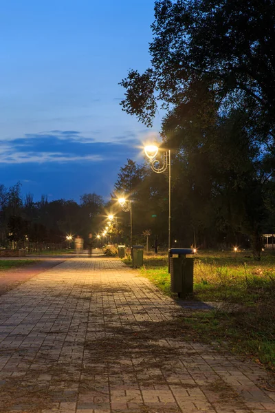 Latarnie Parku Wzdłuż Alejki Nocy Lub Nocy — Zdjęcie stockowe