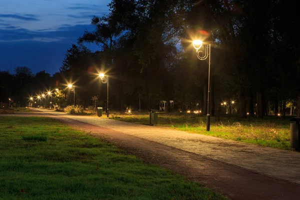 Latarnie Parku Wzdłuż Alejki Nocy Lub Nocy — Zdjęcie stockowe