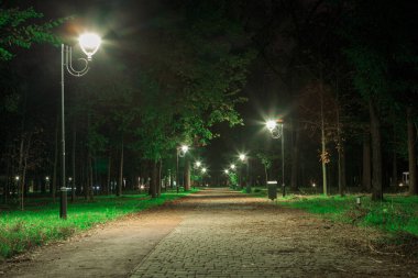 Gece ya da gece sokakta fenerler parktaydı.