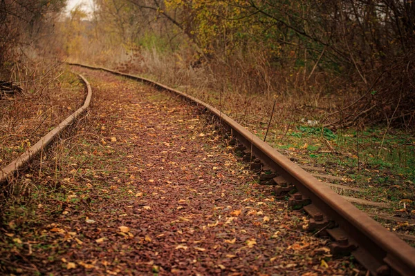 Vieja Línea Ferrocarril Oxidado Bosque Otoño — Foto de Stock