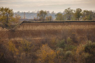 Sonbaharda bulutlu bir havada orman kuşağında temel atma..